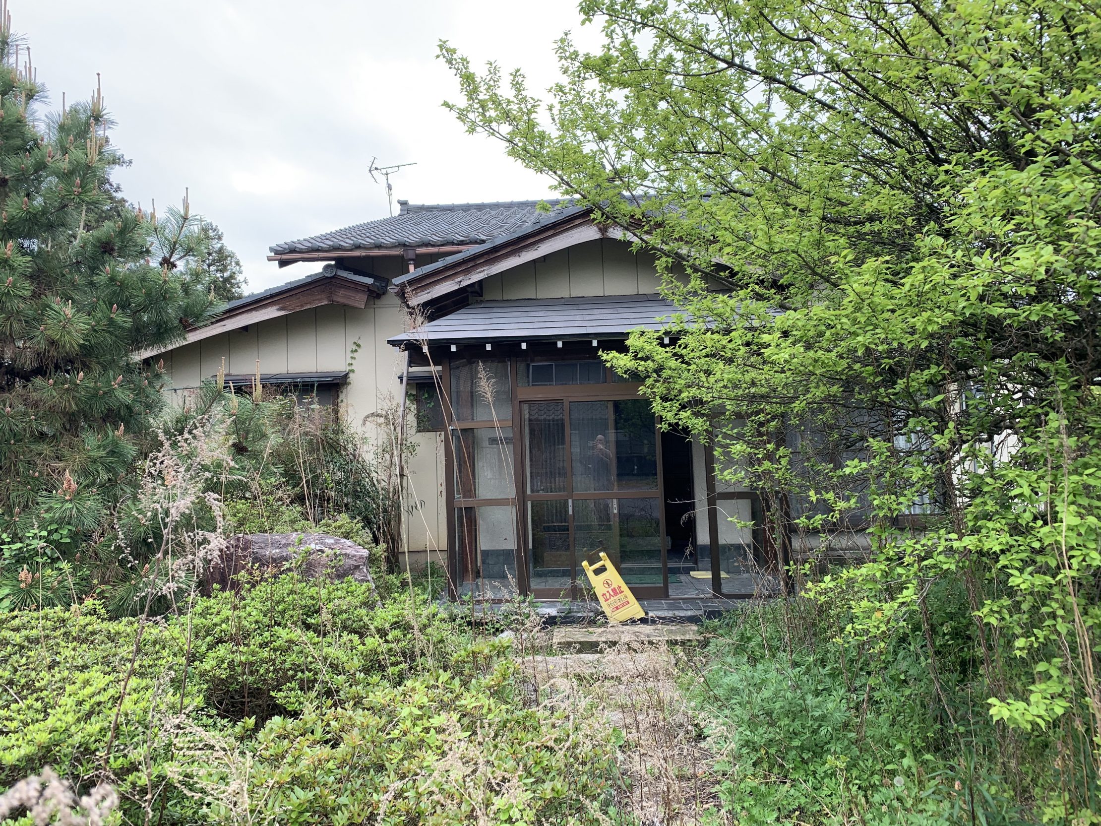 before画像
